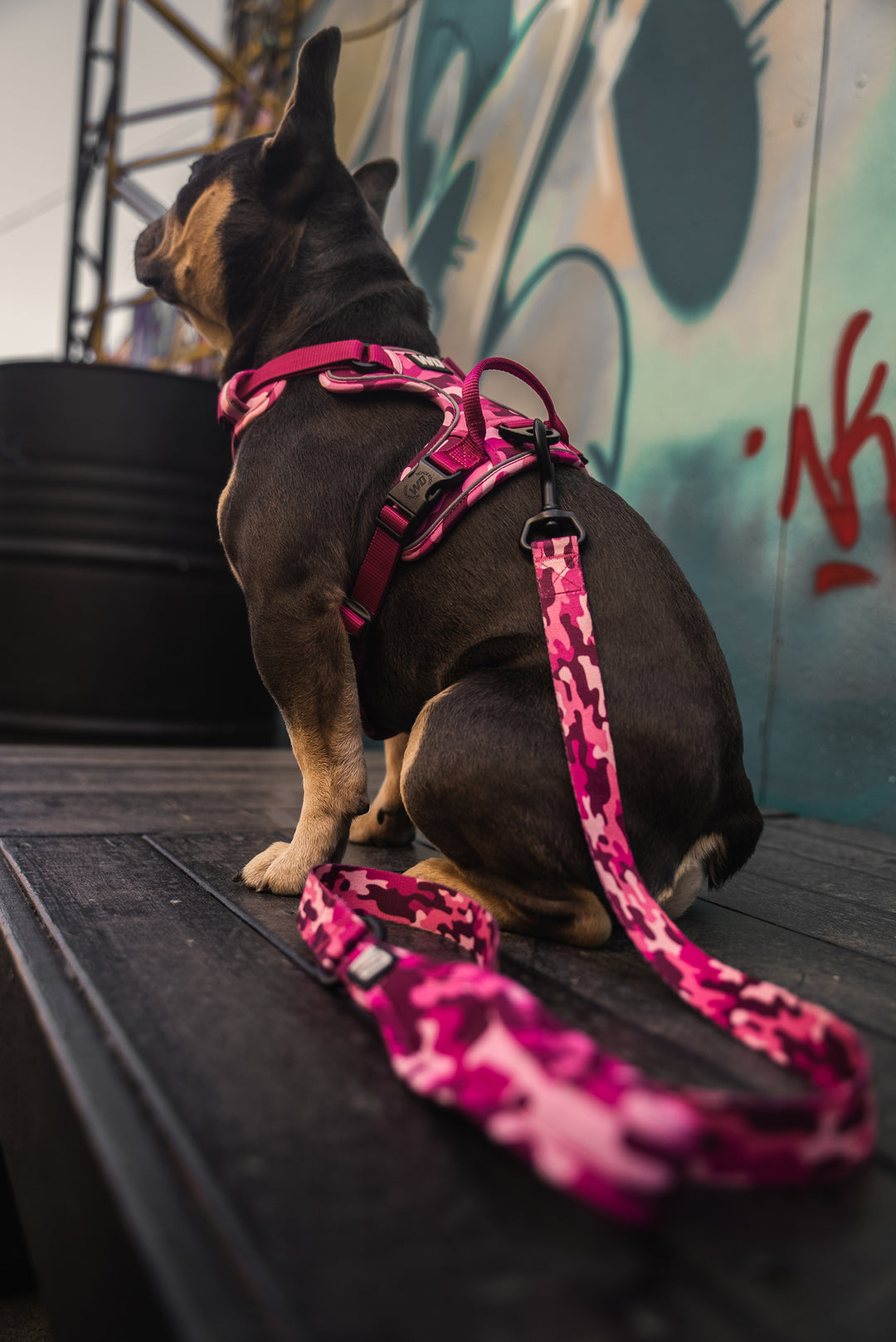 Comfy Walk Harness | Pink Camo